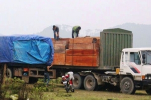 Hà Tĩnh: Xử phạt đoàn xe chở gỗ “khủng” hàng trăm triệu đồng