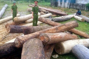 Cảnh sát môi trường Hà Tĩnh bắt gần 10m3 gỗ "vô chủ"