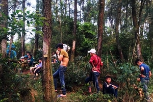 Hà Tĩnh: Phát hiện thi thể đang phân hủy trong rừng thông