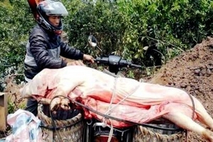 Mổ lợn bị bệnh đem ra chợ bán, người đàn ông bị bắt giữ