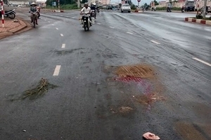 Đắk  Lắk: Xe tải  tông chết người đi đường