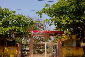 Hà Tĩnh: 9 học sinh nhập viện cấp cứu vì ăn quả ngô đồng ở trường