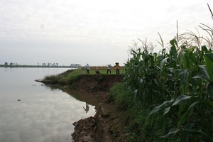 Chủ tàu thừa nhận hút cát trộm, dân vẫn không cho trục vớt tàu