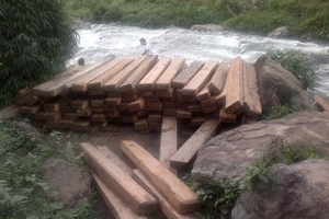 24 tỉnh khu vực phía Bắc: Trên 3.700 vụ vi phạm lâm luật