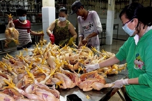 Siết chặt công tác vệ sinh an toàn thực phẩm dịp Tết