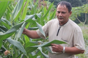 Hành trình làm lại cuộc đời của một bưởng vàng khét tiếng