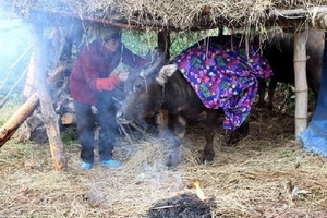 Các tỉnh miền Bắc đã có rét đậm, có nơi dưới 10 độ C