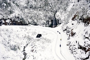 Học sinh cao nguyên đá Đồng Văn nghỉ học vì tuyết rơi