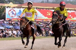 Ngày xuân đến với “sàn giao dịch” ngựa ở Bắc Hà