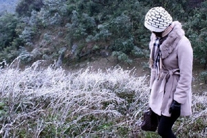 Không khí lạnh bao trùm miền Bắc những ngày cuối tuần