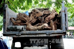 Tài xế vượt ẩu, cán chết trung úy cảnh sát giao thông