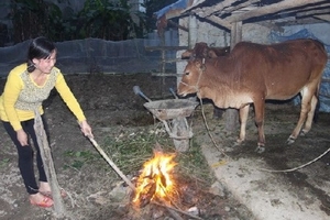 Từ đêm 13/1, Bắc Bộ và Bắc Trung Bộ rét đậm, rét hại