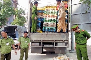 Dịch cúm A(H7N9): Có thể xâm nhập Việt Nam bất cứ lúc nào