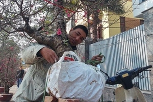 Nhiều người tay ngang kiếm tiền triệu dịp Tết