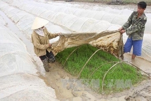 Không khí lạnh tăng cường, vùng núi phía Bắc rét đậm