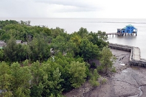 Đồng bằng sông Cửu Long nguy cơ ngập chìm dưới biển