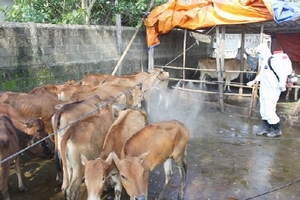 Bắc Ninh bổ sung gấp 3,3 tỷ đồng phòng chống dịch bệnh