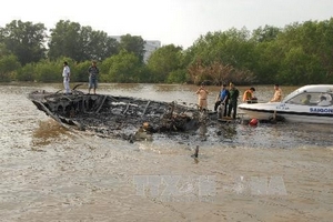 TP HCM: Đình chỉ tất cả các hãng tàu cánh ngầm để kiểm tra