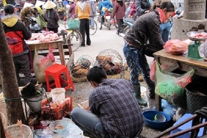 Người dân cần hiểu biết đúng và không nên hoang mang về dịch cúm AH5N1