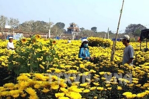 Người dân miền Bắc hưởng khí trời ấm ấp dịp cuối tuần