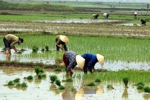 Miền Bắc độ ẩm tăng, Vịnh Bắc bộ có sương mù dày đặc