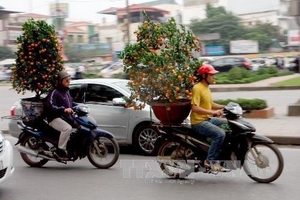 Nắng ấm trên cả nước trong những ngày cuối năm Quý Tỵ