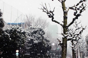 Xuất hiện rét đậm , rét hại trên diện rộng ở miền Bắc