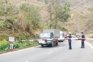 Lào Cai cấm tuyệt đối xuất nhập khẩu gia cầm qua biên giới