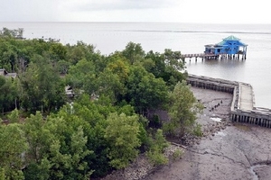 Những thách thức đối với các hệ sinh thái vùng bờ biển