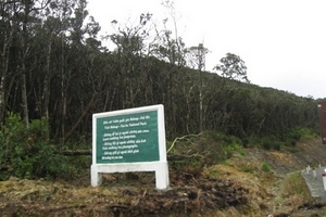 19 tỉnh, thành phố báo động cháy rừng ở cấp 5