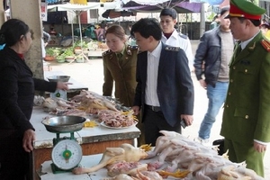 Cúm gia cầm tiếp tục gia tăng và diễn biến phức tạp