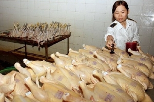 Còn nhiều sai phạm trong quản lý an toàn thực phẩm