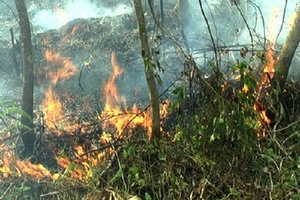 Đông Bắc Bộ trời vẫn ẩm ướt, Tây Bắc Bộ hanh khô