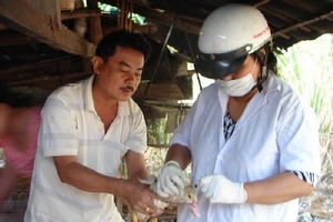 Quảng Bình hỗ trợ 800.000 liều vắcxin phòng cúm gia cầm