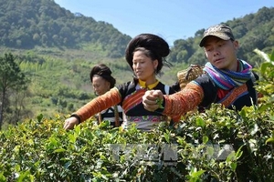 Miền Bắc giảm giá rét, Đông Nam Bộ nắng gay gắt