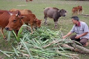 Lâm Đồng phấn đấu giảm tỷ lệ hộ nghèo xuống dưới 1,8%