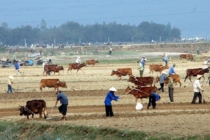 Đông Bắc Bộ hửng nắng, Nam Bộ tiếp tục khô nóng
