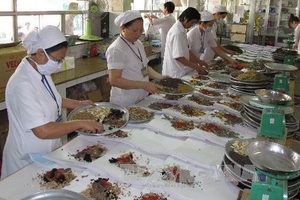 Tưởng niệm ngày viên tịch của Đại danh y Tuệ Tĩnh