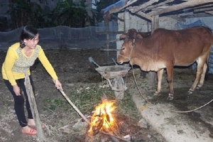 Đông Bắc Bộ sắp đón đợt rét đậm, vùng núi có rét hại