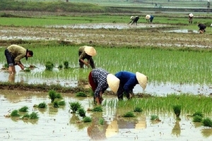 Nam Bộ nắng nóng kéo dài, Bắc Bộ thời tiết ấm lên