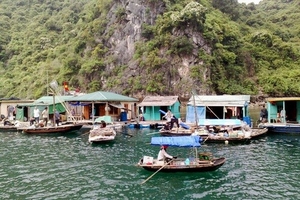 Quảng Ninh: Việc di dời nhà bè trên vịnh Hạ Long phải hoàn thành trước ngày 30/6/2014