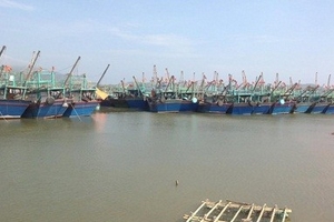 Ngư dân miền Trung treo cao cờ Tổ quốc ra khơi