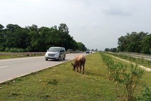Cục CSGT đường bộ - đường sắt: “Bỏ quên” nhiệm vụ trên tuyến QL3 mới?