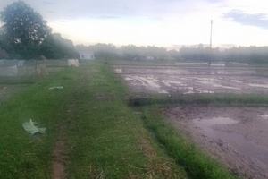 Thanh Hóa: Sét đánh làm 4 người chết và bị thương