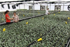 Ngăn chặn việc thu gom gen quý của tư thương nước ngoài