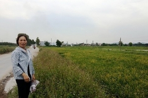 Huyện Quế Võ: Lấy đất của dân nhưng không ban hành quyết định thu hồi