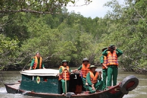 Đầm nuôi tôm tự phát đang xóa sổ rừng ngập mặn Đồng bằng sông Cửu Long