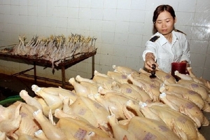 Hà Nội xử phạt gần 680 cơ sở vi phạm về an toàn thực phẩm