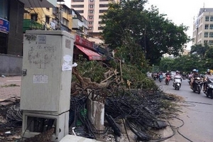 Còn 5 - 6 cơn bão, áp thấp nhiệt đới trên Biển Đông