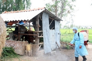 Phòng chống bệnh truyền nhiễm, dịch bệnh phát sinh sau bão